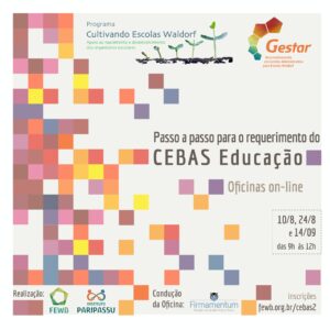 Passo a passo para o requerimento do CEBAS Educação - Faixa 3