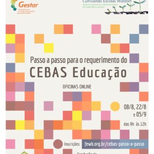 Passo a Passo para o Requerimento do Cebas Educação 2026